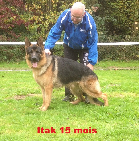 Itak Des Brumes Du Lormant